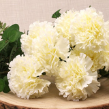 Carnation Bush - Great Useful Things