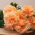 Carnation Bush - Great Useful Things