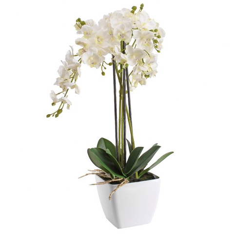 Faux Orchid - Potted Royal White Orchid (56cm) - Great Useful Things