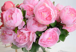 Peony Flower Head/Silk (30pcs - No stem) - Great Useful Things