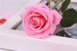 Roses - Real touch/Silk - Great Useful Things