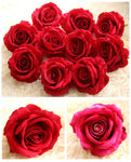 Roses (Silk)- 5 Faux Flower Heads - Great Useful Things