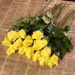 Rose Bouquet - Real touch/Faux - Great Useful Things