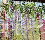 Artificial Wisteria flowers Vines  - 36 pcs - Great Useful Things