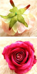 Roses (Silk)- 5 Faux Flower Heads - Great Useful Things