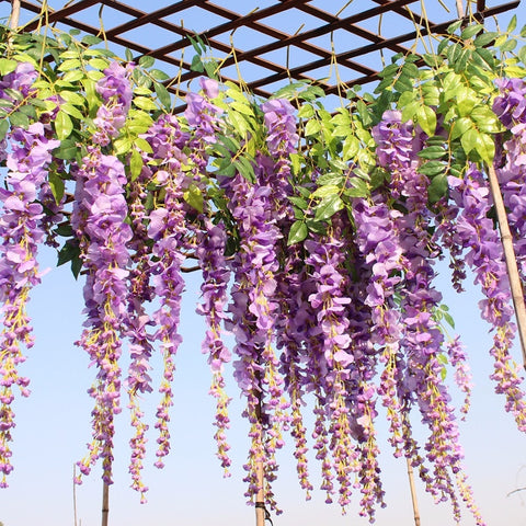 Artificial Wisteria Flower Vines - Silk - 110 cm - Great Useful Things