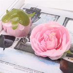 Peony Flower Head/Silk (30pcs - No stem) - Great Useful Things