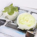 Peony Flower Head/Silk (30pcs - No stem) - Great Useful Things