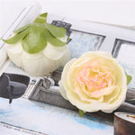 Peony Flower Head/Silk (30pcs - No stem) - Great Useful Things