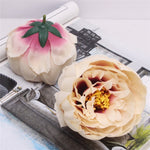 Peony Flower Head/Silk (30pcs - No stem) - Great Useful Things