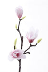 Magnolia Branch - Silk - Great Useful Things