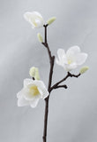 Magnolia Branch - Silk - Great Useful Things